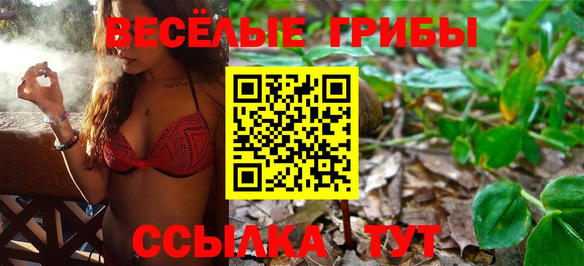 Кинель  Галлюциногенные грибы прущие грибы  Вход с VPN  Галлюциногенные грибы MAGIC MUSHROOMS 