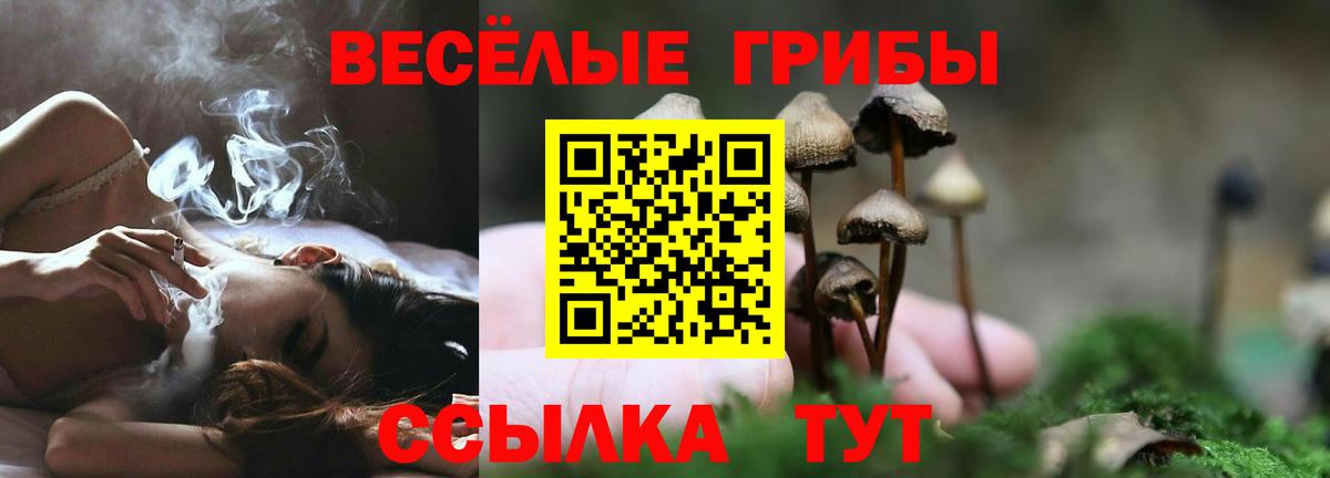 Галлюциногенные грибы Cubensis Кинель